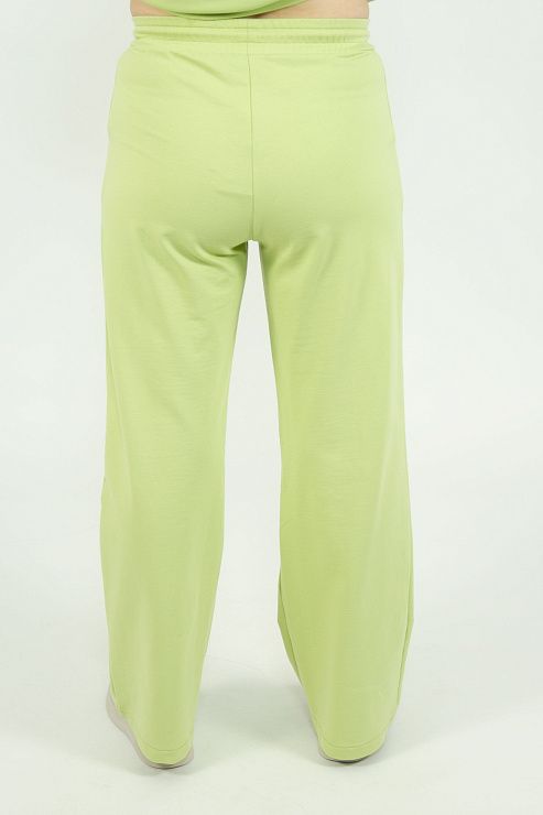 ЕВТ4046 Брюки женские лайм VERY NEAT 