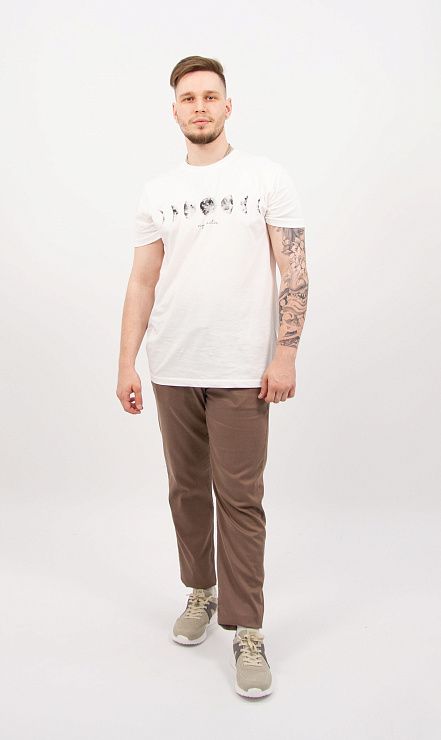 805-2166.T044.Y002.L.C0171 Брюки чинос мужские темно-бежевый LUXOR 