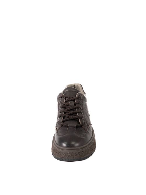 DBY-RA011-001-2 Полуботинки женские натуральная кожа коричневый 365 