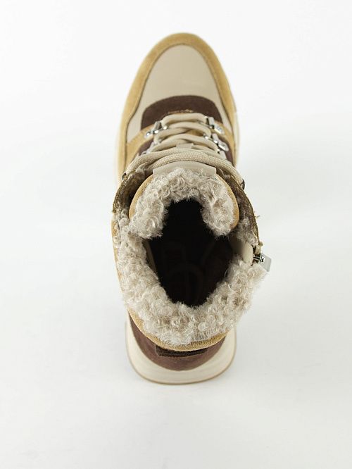 601508-6 Ботинки женские Torsion Field 