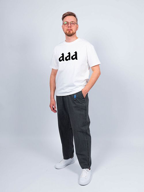 R33038/DY Брюки мужские серый QWENTINI  